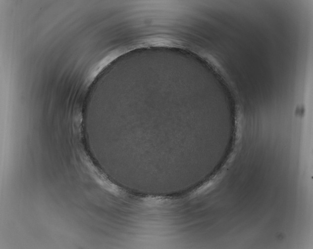 X0000111911065200907271216