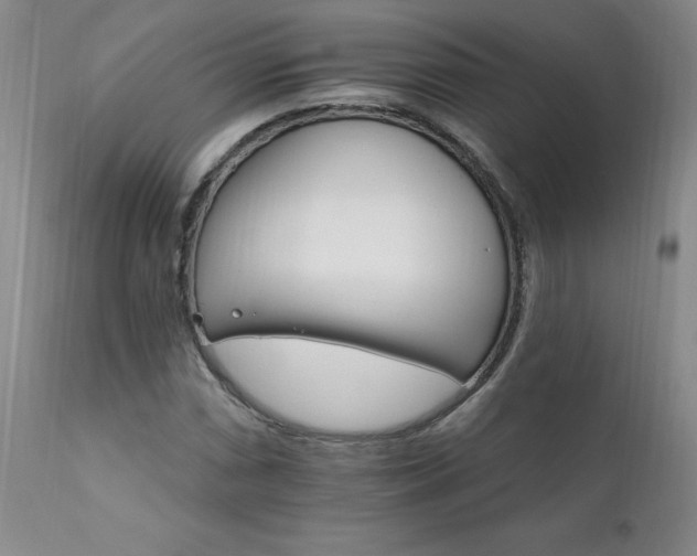 X0000111911066200907271216