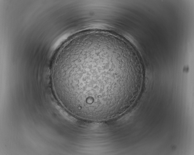 X0000111911067200907271216