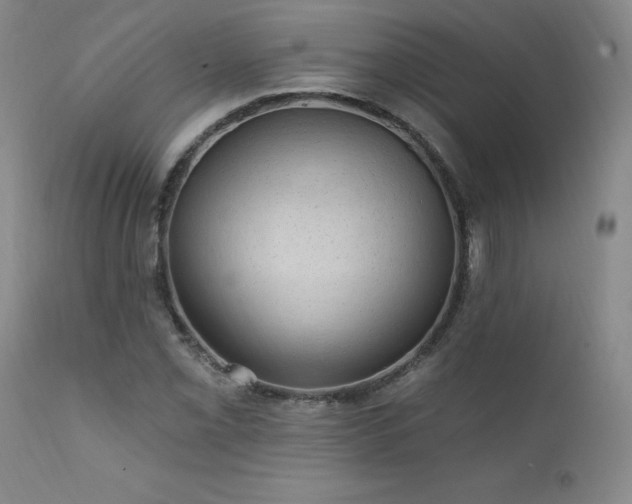 X0000111911069200907271216