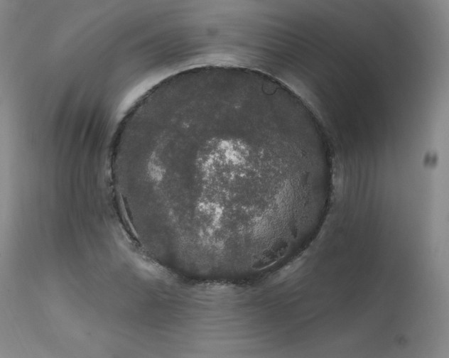 X0000111911070200907271216