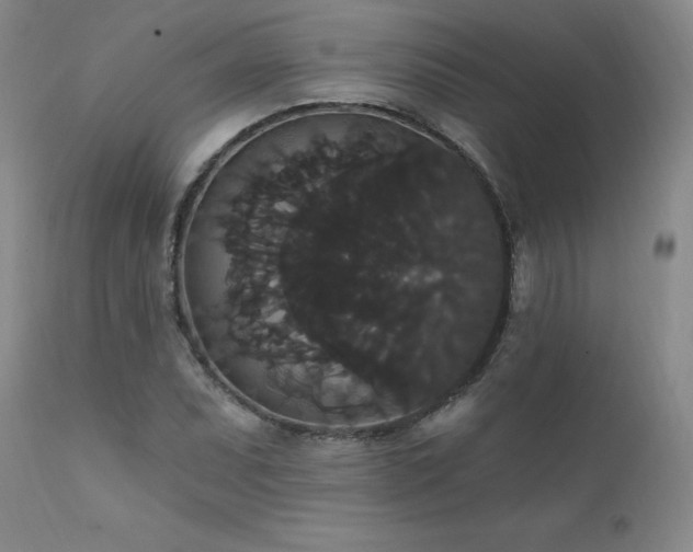 X0000111911071200907271216