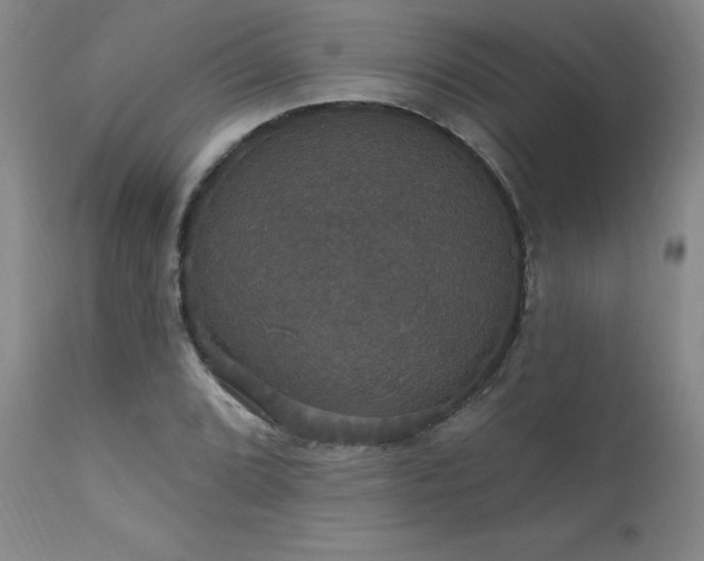 X0000111911072200907271216