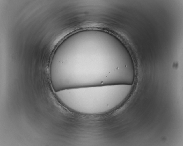 X0000111911073200907271216