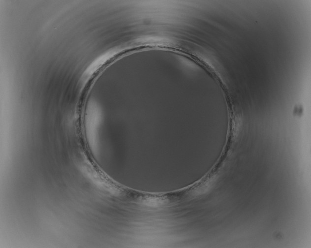 X0000111911074200907271216