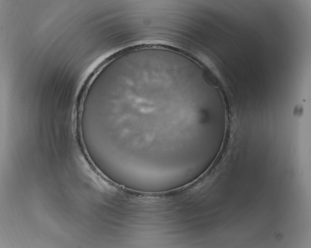X0000111911076200907271216