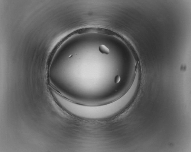 X0000111911077200907271216