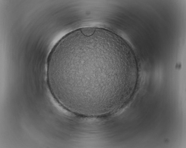 X0000111911079200907271216