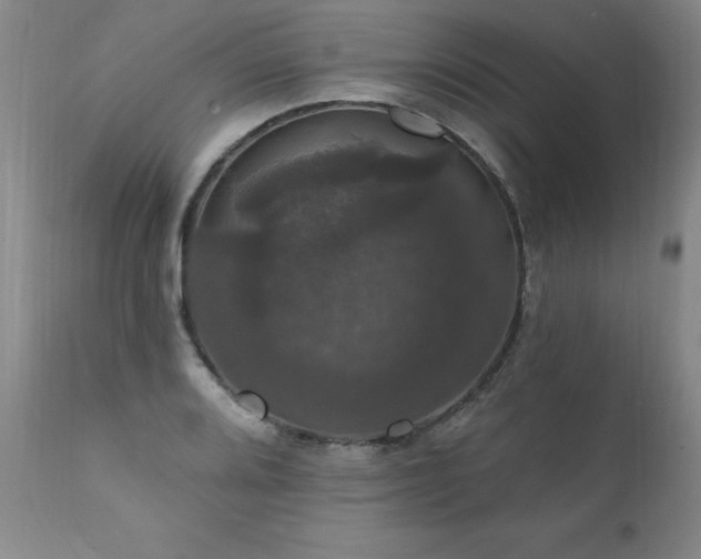 X0000111911080200907271216