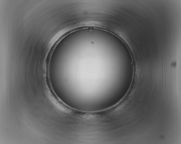 X0000111911082200907271216