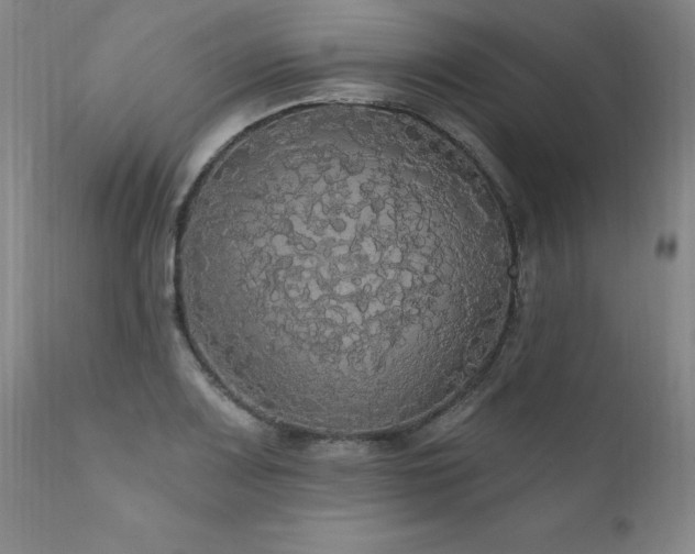 X0000111911083200907271216