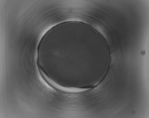 X0000111911084200907271216