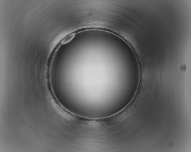 X0000111911085200907271216