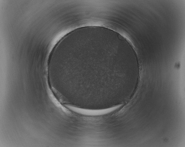 X0000111911088200907271216