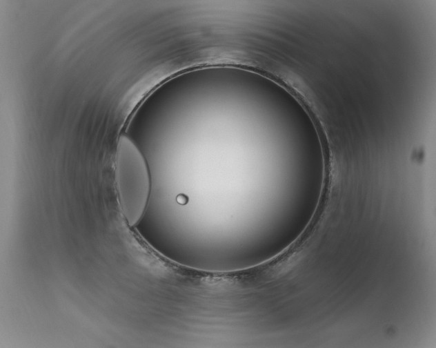 X0000111911089200907271216
