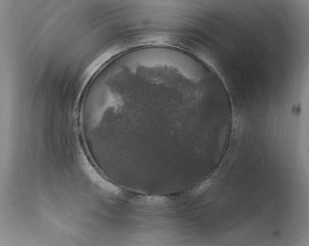 X0000111911090200907271216