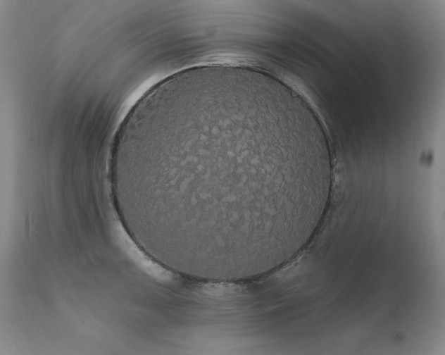 X0000111911091200907271216