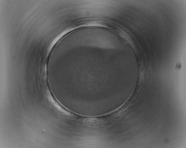 X0000111911092200907271216