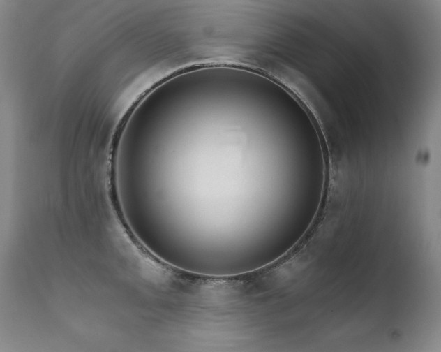 X0000111911093200907271216