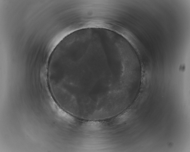 X0000111911094200907271216