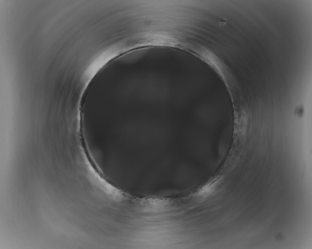 X0000111911095200907271216