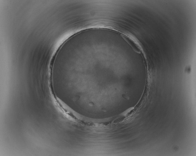 X0000111911096200907271216
