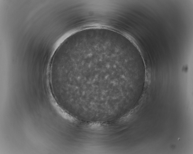 X0000111911098200907271216
