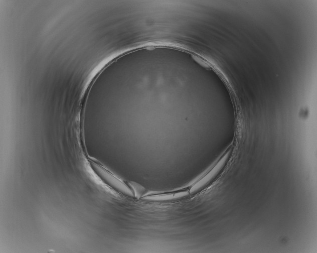 X0000111911100200907271216