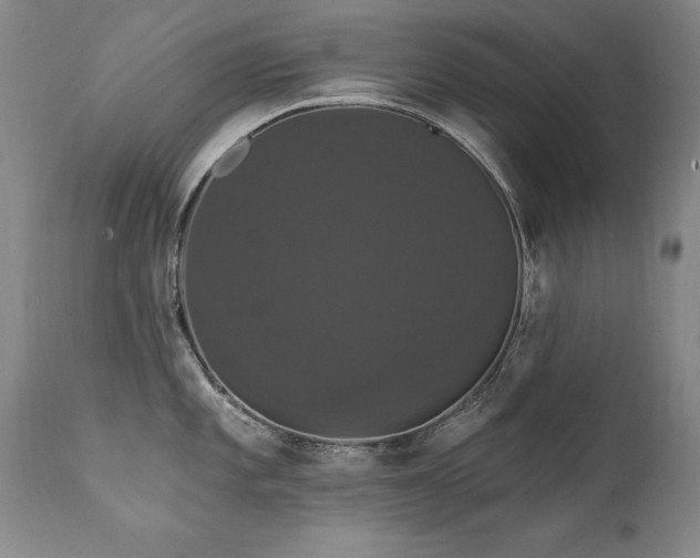 X0000111911101200907271216