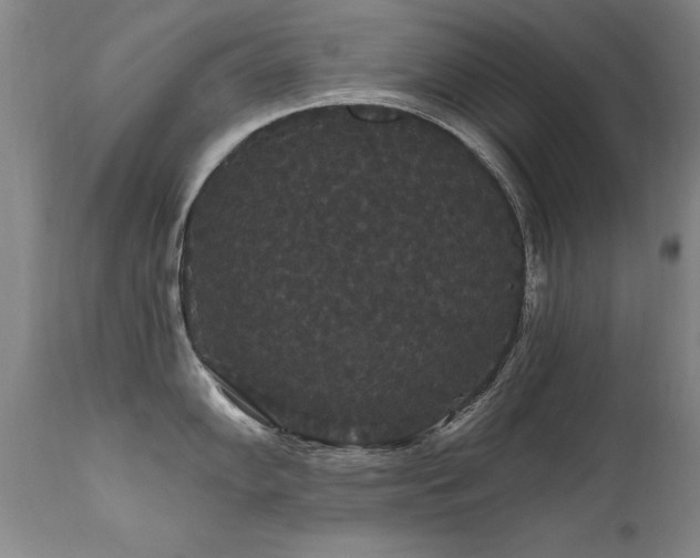 X0000111911102200907271215