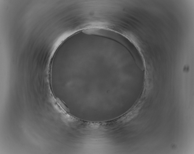 X0000111911104200907271215
