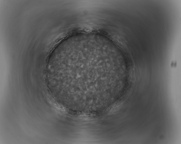 X0000111911105200907271215