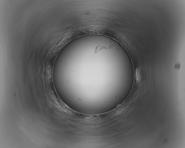 X0000111911107200907271215