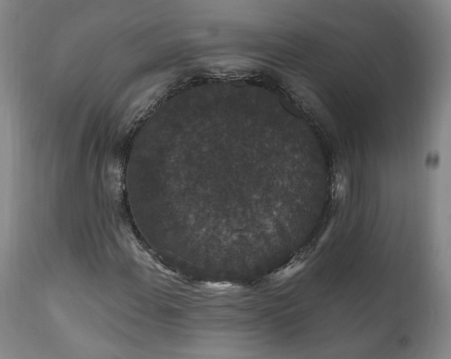 X0000111911108200907271215