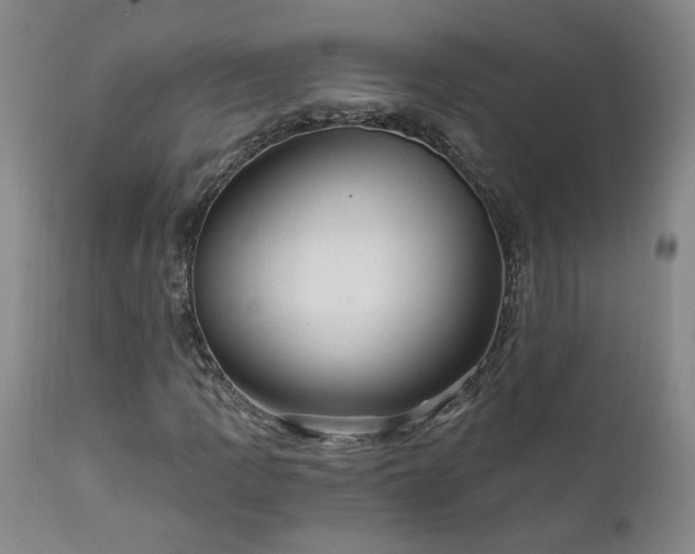 X0000111911109200907271215