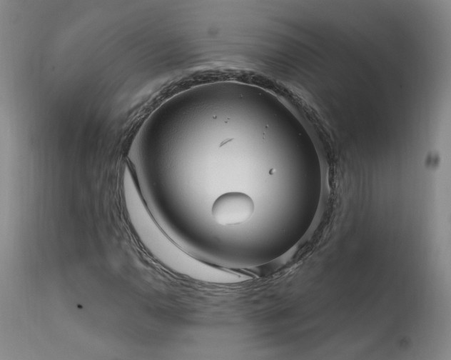 X0000111911110200907271215