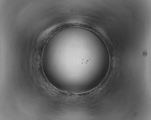 X0000111911111200907271215