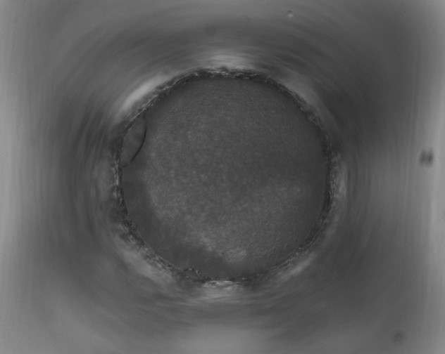 X0000111911112200907271215