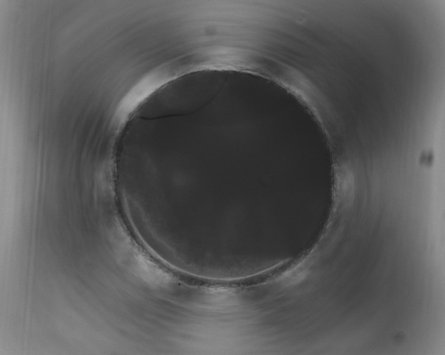 X0000111911114200907271215