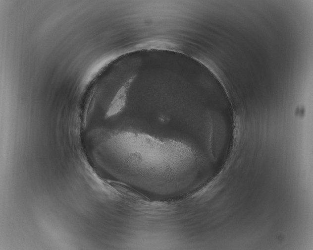 X0000111911115200907271215