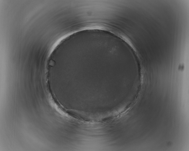 X0000111911116200907271215