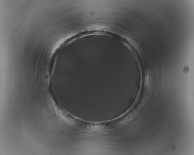 X0000111911117200907271215
