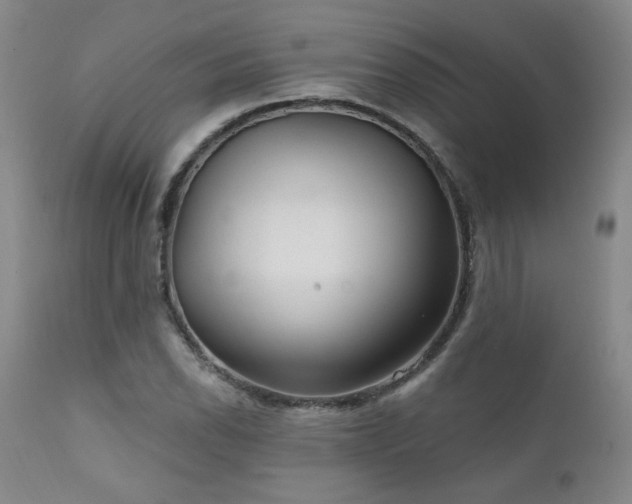X0000111911118200907271215