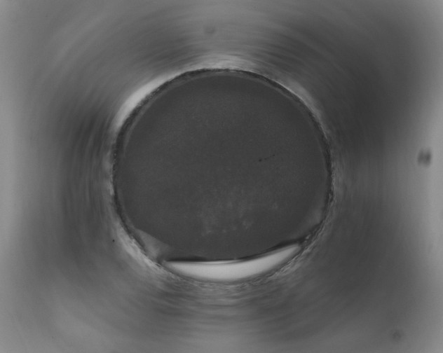 X0000111911120200907271215