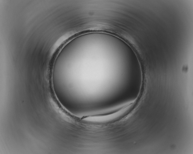 X0000111911122200907271215