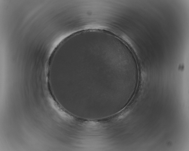 X0000111911124200907271215