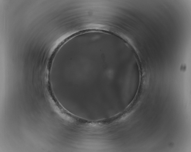 X0000111911125200907271215