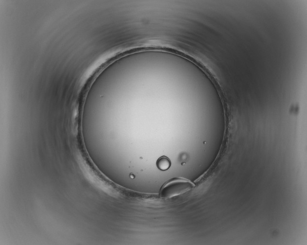 X0000111911126200907271215