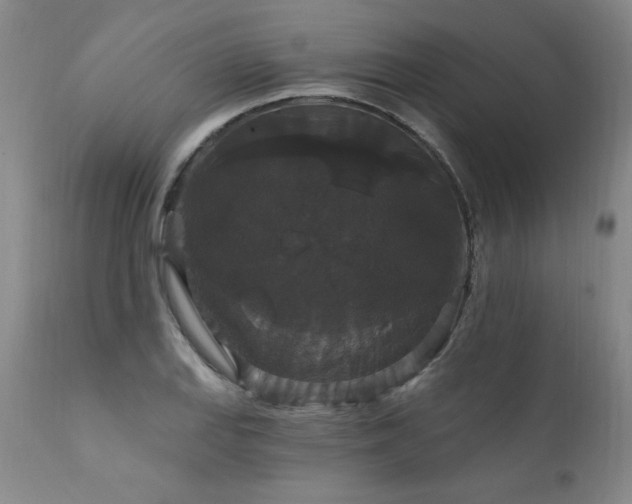 X0000111911127200907271215