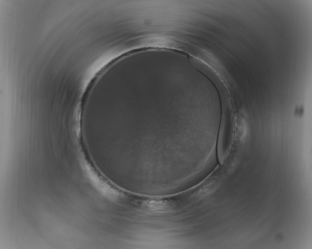 X0000111911128200907271215